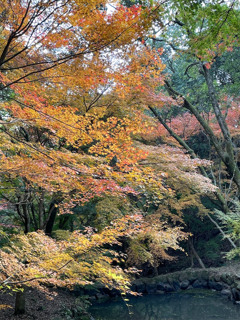 f:id:arekoreken:20231123195242j:image