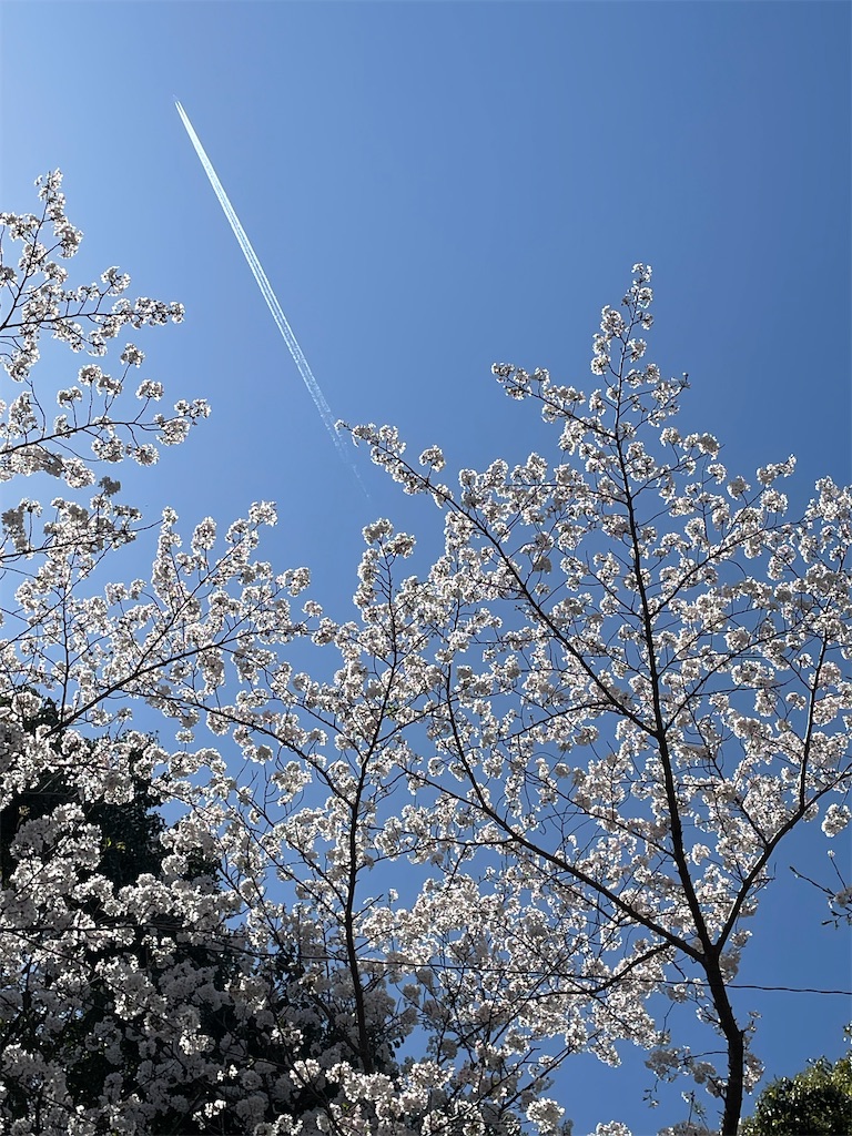 f:id:arekoreken:20240401204038j:image