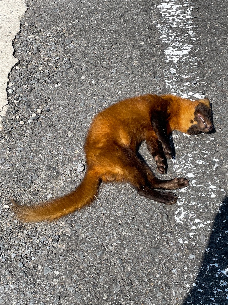 f:id:arekoreken:20240902164015j:image