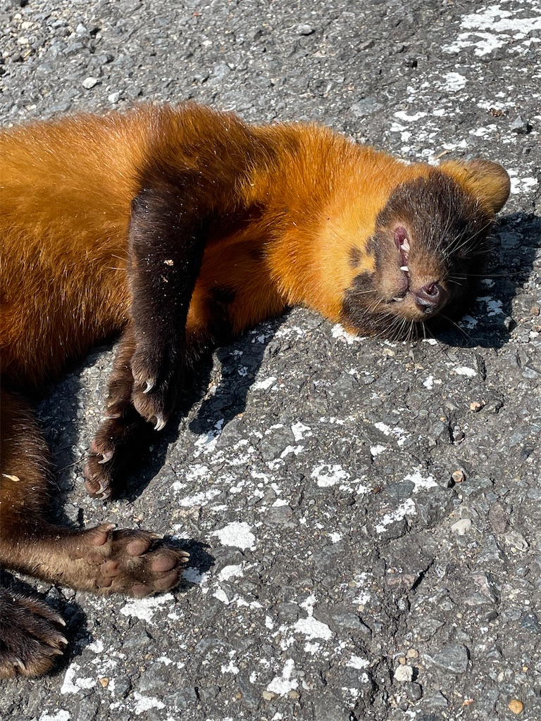 f:id:arekoreken:20240902164019j:image