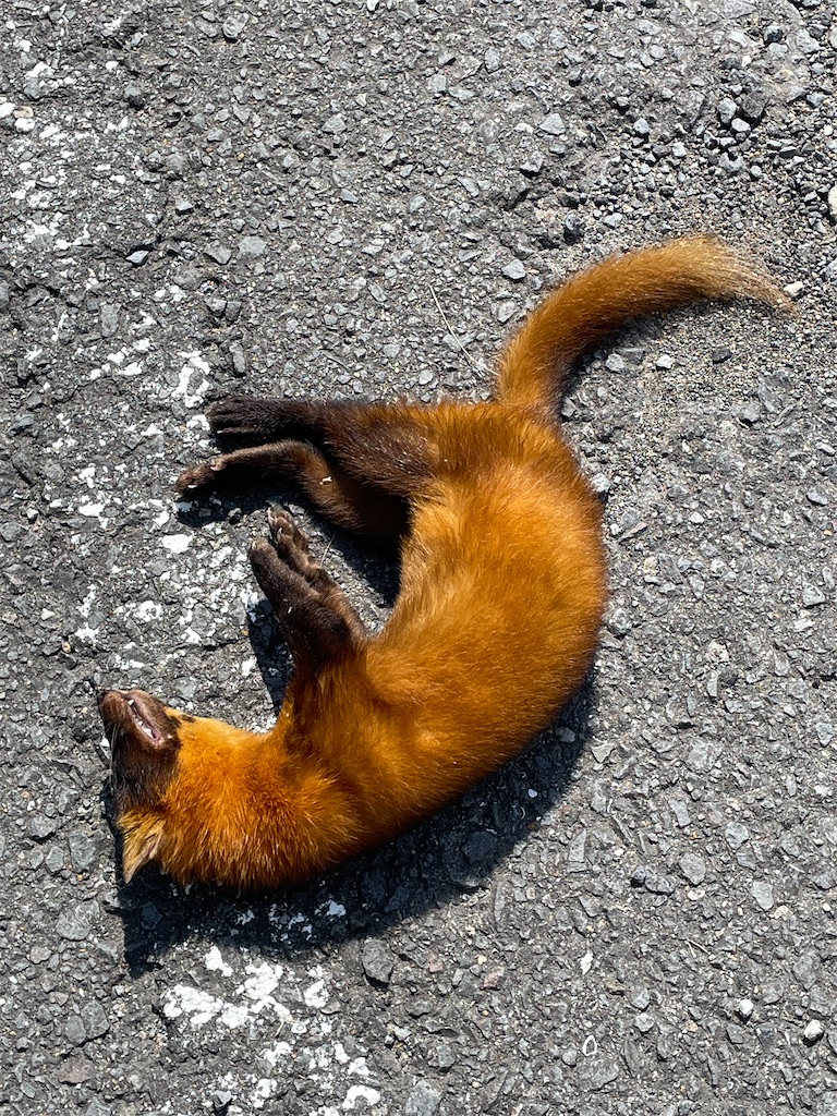 f:id:arekoreken:20240902164022j:image