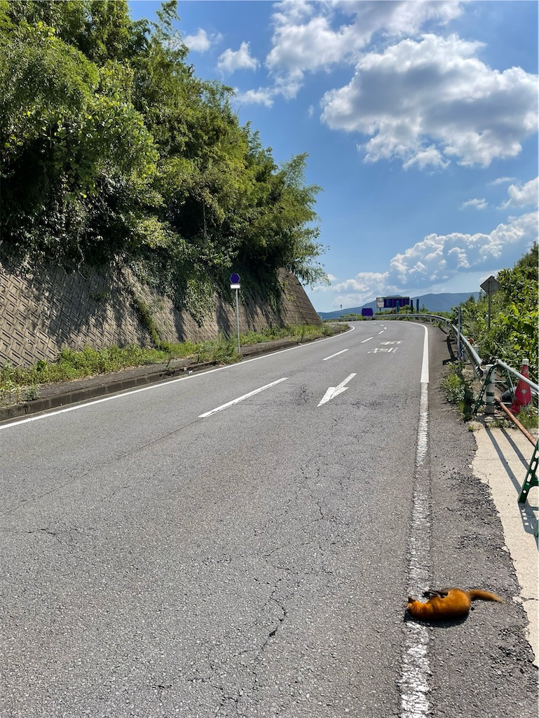 f:id:arekoreken:20240902164031j:image