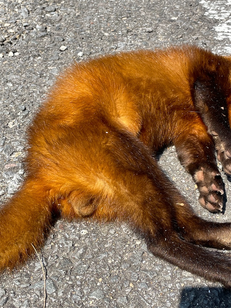 f:id:arekoreken:20240902164035j:image