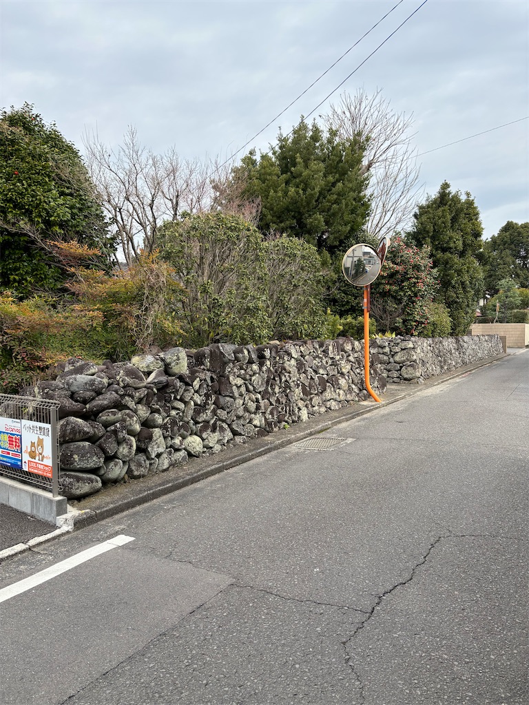 f:id:arekoreken:20250313150729j:image