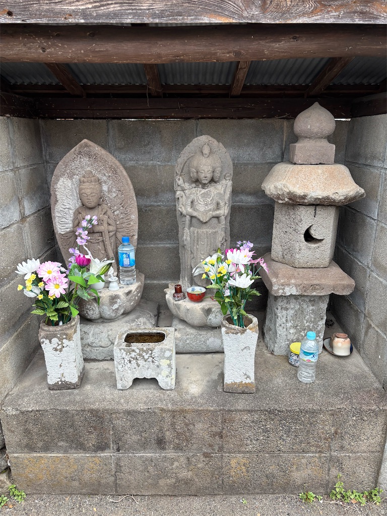 f:id:arekoreken:20250313150750j:image