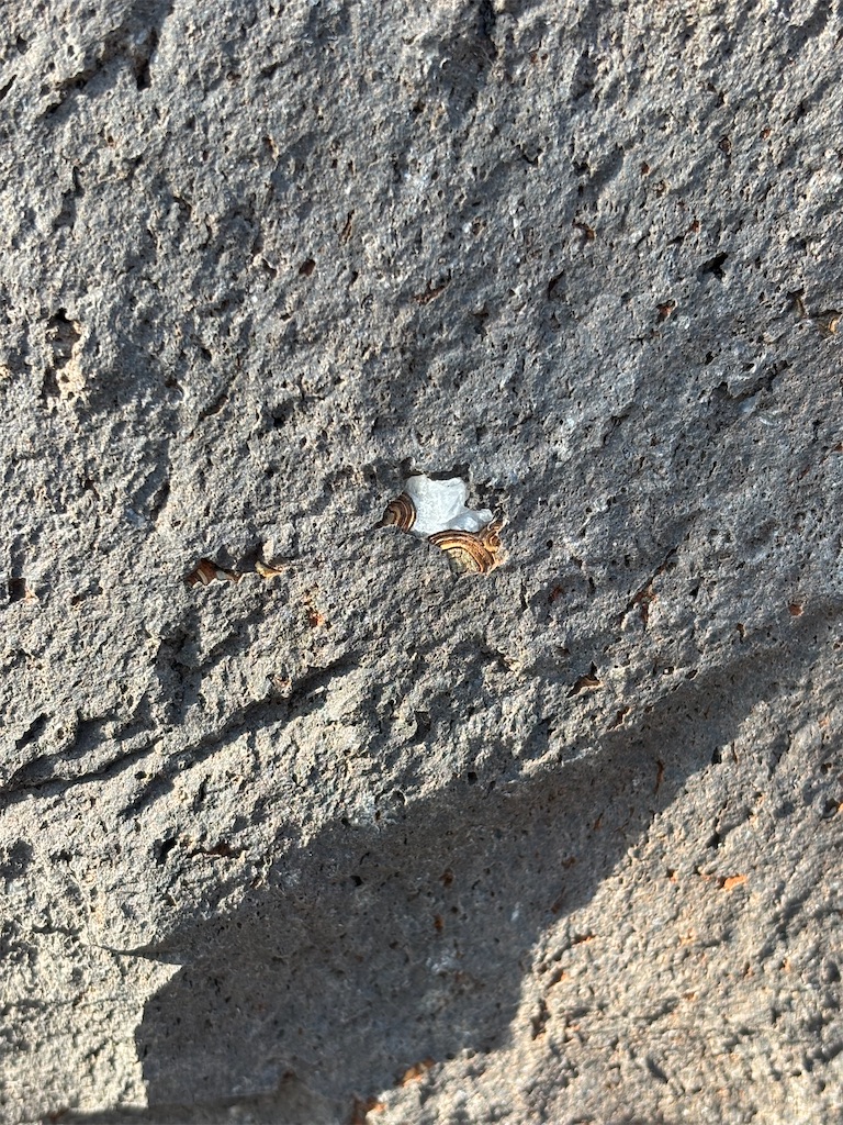 f:id:arekoreken:20260119202403j:image