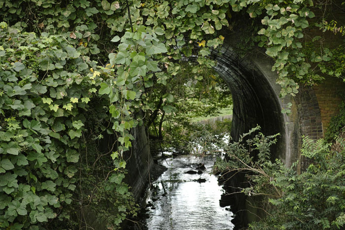 f:id:aremo-koremo:20140927011251j:plain