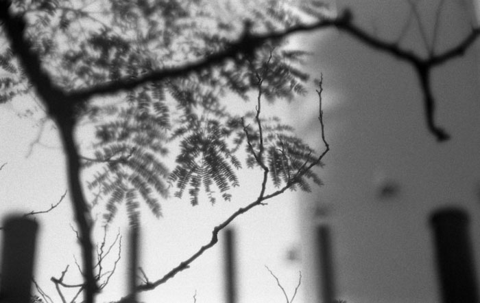 f:id:aremo-koremo:20140927014014j:plain