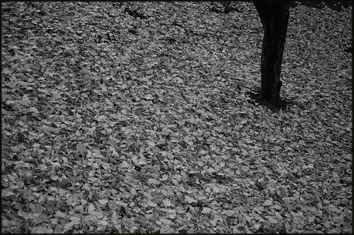 f:id:aremo-koremo:20140927014315j:plain