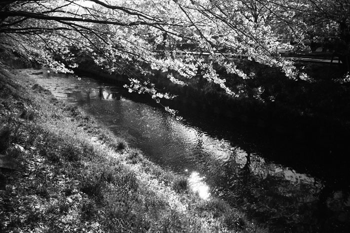 f:id:aremo-koremo:20140927015741j:plain