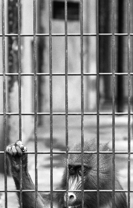 f:id:aremo-koremo:20141020230308j:plain