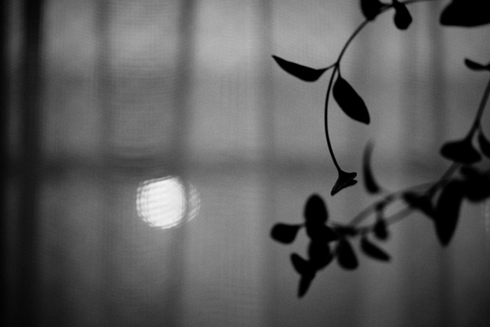 f:id:aremo-koremo:20141108023403j:plain