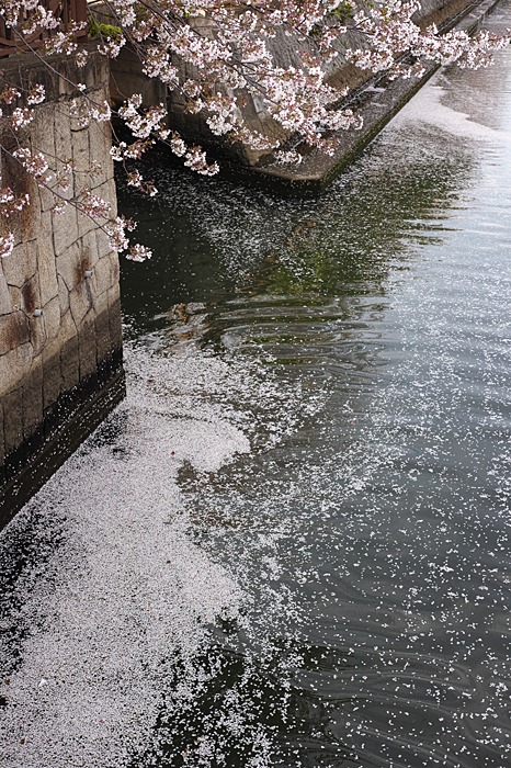 f:id:aremo-koremo:20141108023507j:plain