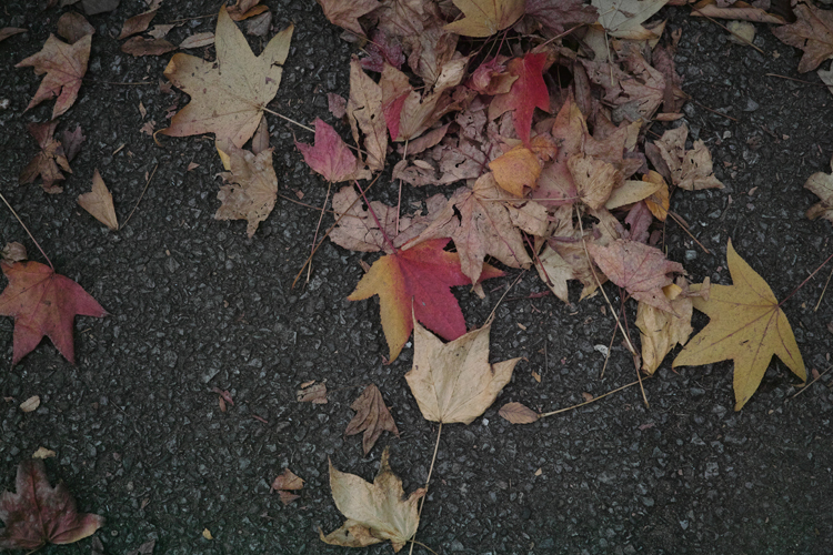 f:id:aremo-koremo:20141114104446j:plain