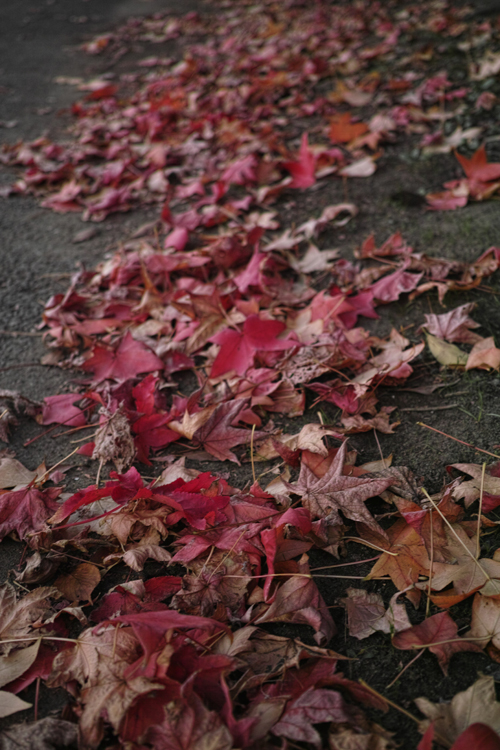 f:id:aremo-koremo:20141114104810j:plain