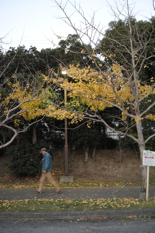 f:id:aremo-koremo:20141114104925j:plain