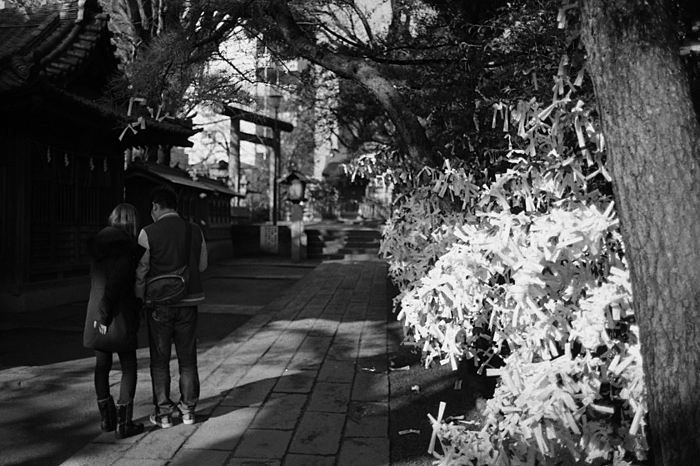 f:id:aremo-koremo:20141216192805g:plain f:id:aremo-koremo:20141216192805g:plain