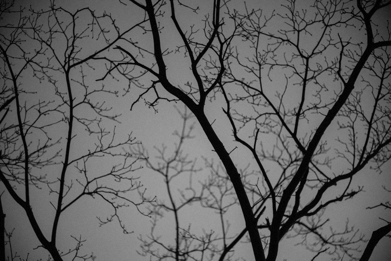 f:id:aremo-koremo:20141230180912j:plain