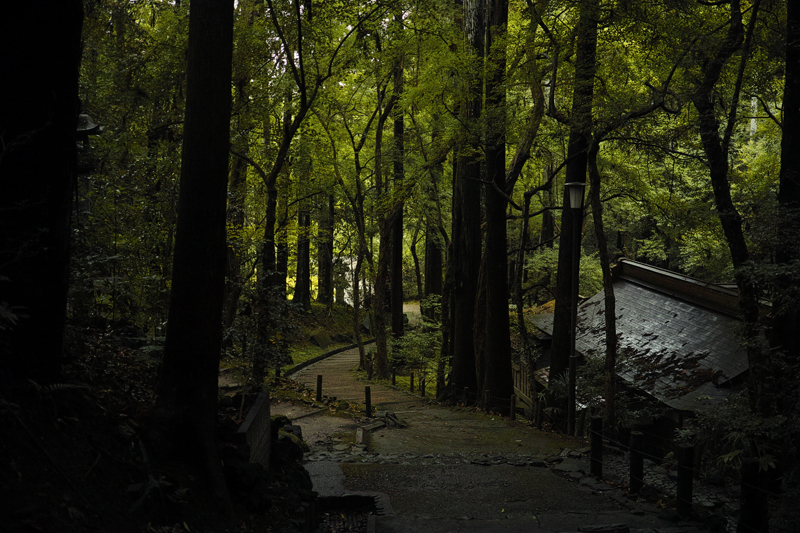 f:id:aremo-koremo:20150710145212j:plain f:id:aremo-koremo:20150710145212j:plain