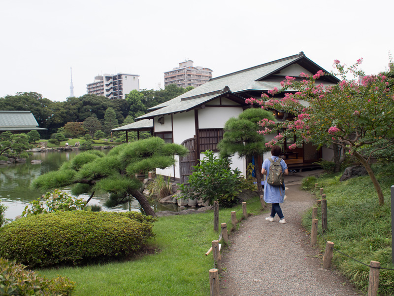 f:id:aremo-koremo:20150904131024j:plain