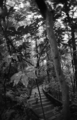 20150918225332