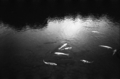 20150918232544