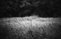 20150918233351