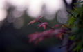 20150927191252