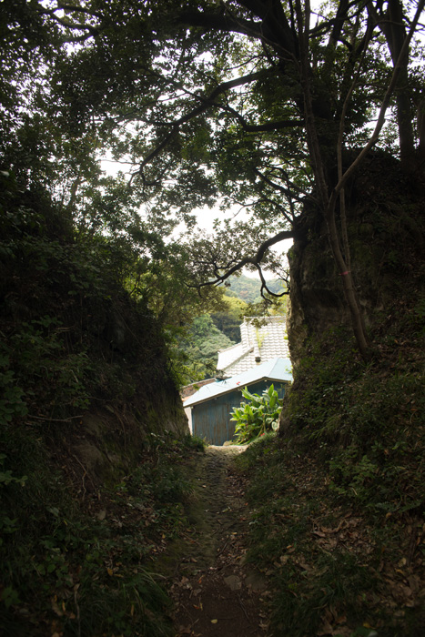 f:id:aremo-koremo:20151016172707j:plain