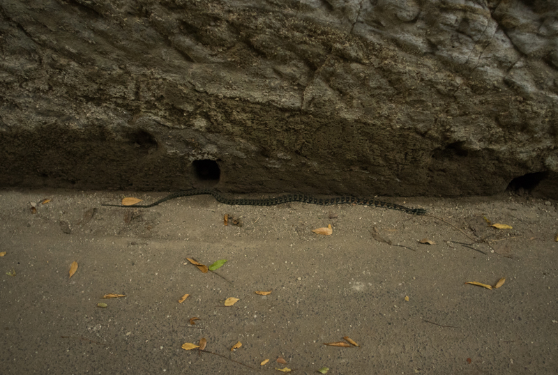 f:id:aremo-koremo:20151016200056j:plain