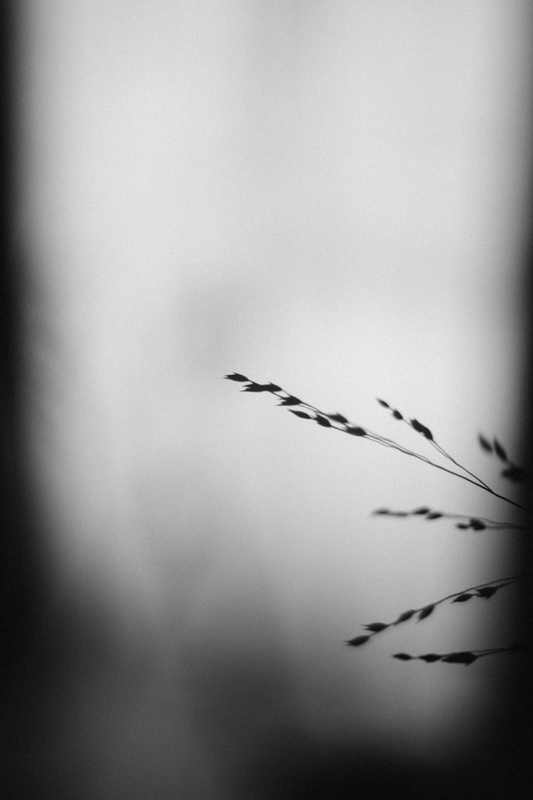 f:id:aremo-koremo:20151019162607j:plain f:id:aremo-koremo:20151019162607j:plain