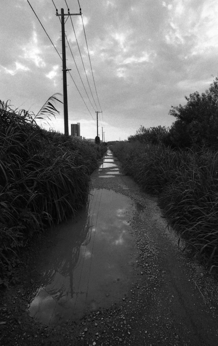 f:id:aremo-koremo:20151019164240j:plain f:id:aremo-koremo:20151019164240j:plain