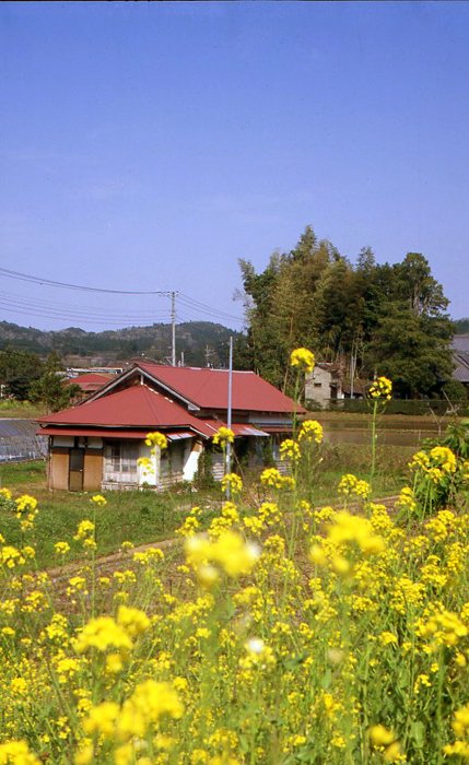 f:id:aremo-koremo:20151019164619j:plain f:id:aremo-koremo:20151019164619j:plain