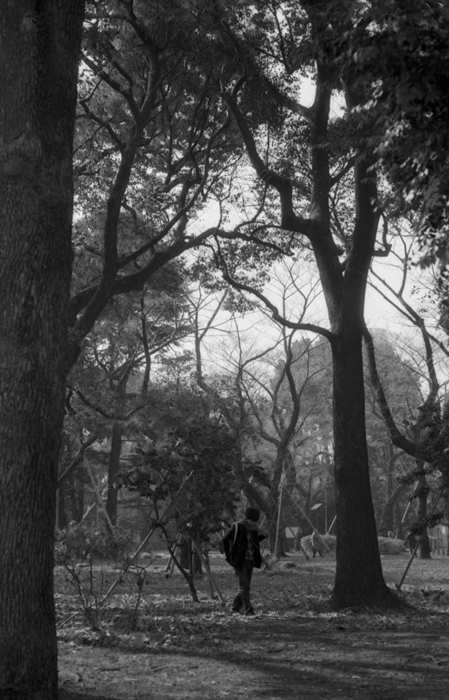 f:id:aremo-koremo:20151019170638j:plain f:id:aremo-koremo:20151019170638j:plain