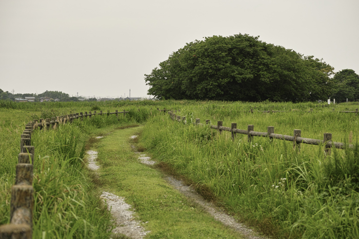 f:id:aremo-koremo:20151019172008j:plain f:id:aremo-koremo:20151019172008j:plain