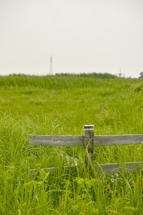 f:id:aremo-koremo:20151019172228j:plain f:id:aremo-koremo:20151019172228j:plain