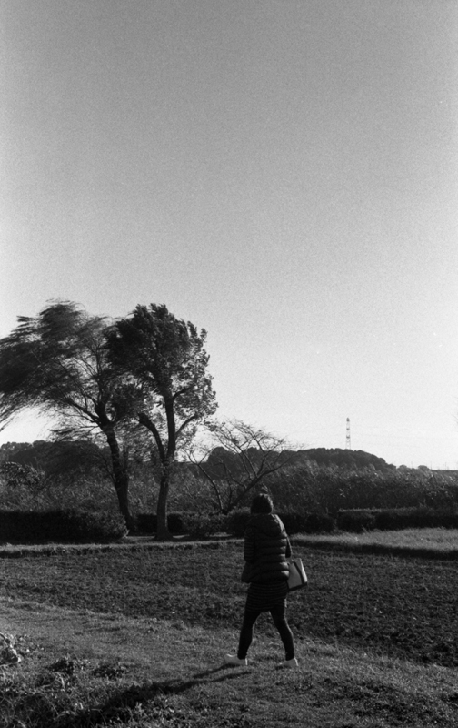 f:id:aremo-koremo:20151115010011j:plain