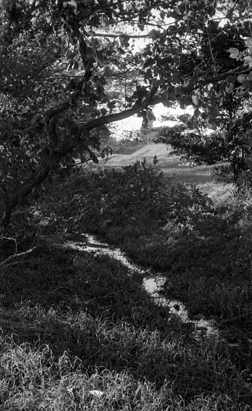 f:id:aremo-koremo:20151115010407j:plain