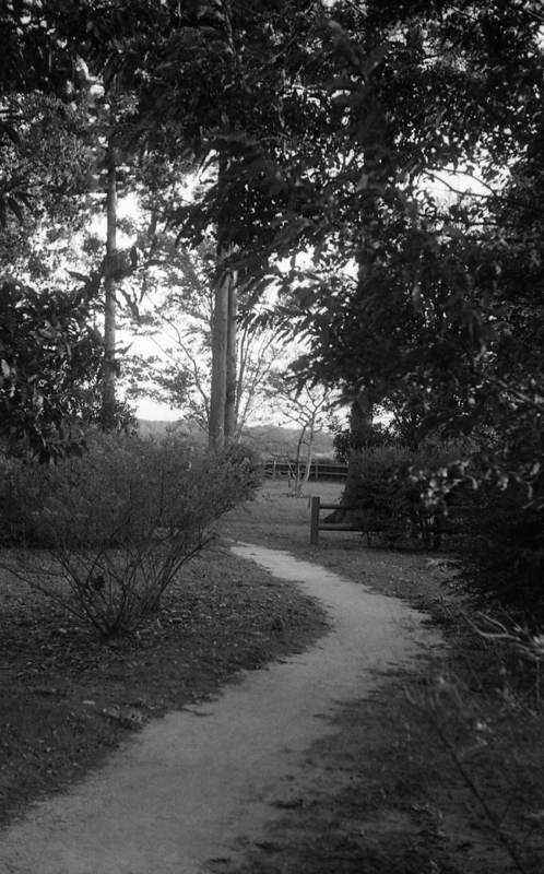 f:id:aremo-koremo:20151115010503j:plain