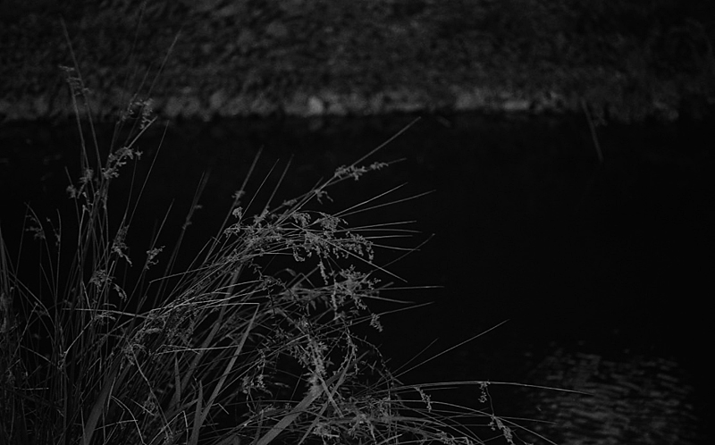 f:id:aremo-koremo:20151117151643j:plain