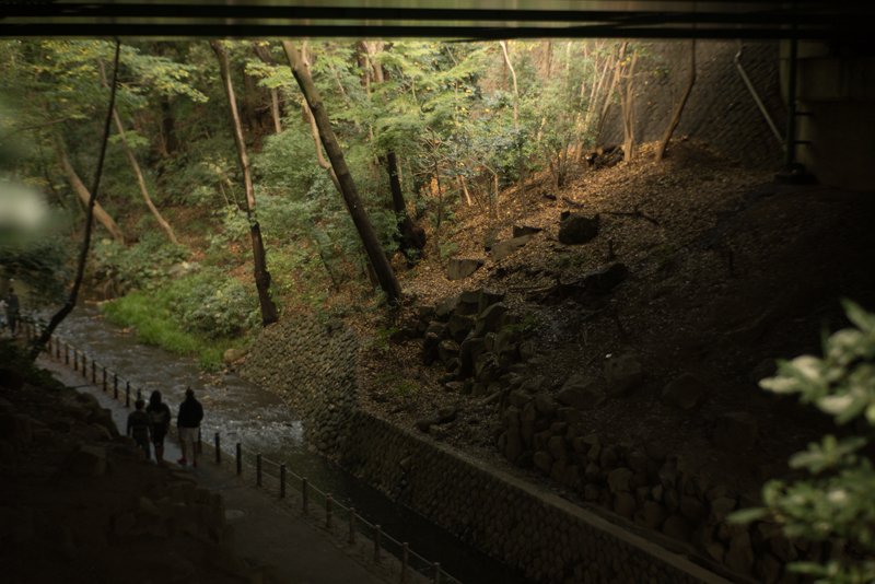 f:id:aremo-koremo:20151122173029j:plain f:id:aremo-koremo:20151122173029j:plain