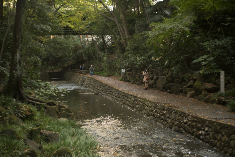 f:id:aremo-koremo:20151122173048j:plain