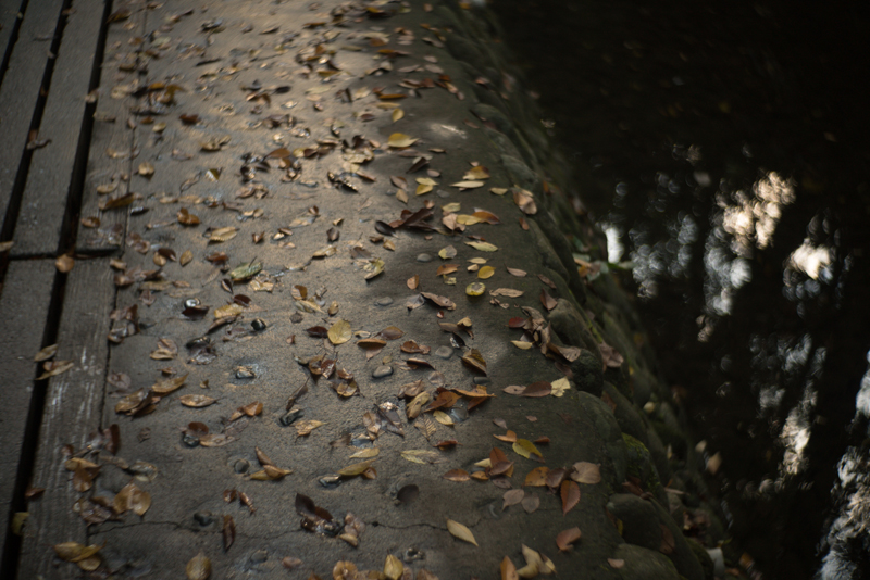 f:id:aremo-koremo:20151122173100j:plain