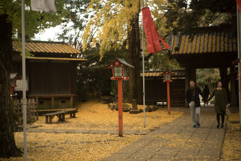 f:id:aremo-koremo:20151122173212j:plain