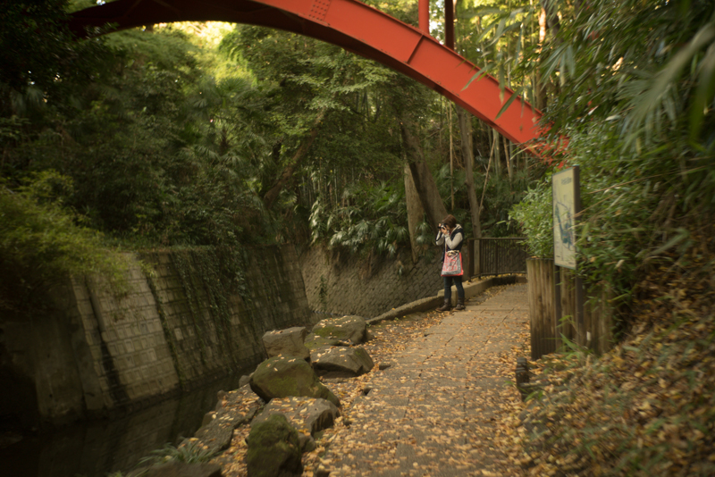 f:id:aremo-koremo:20151122173515j:plain