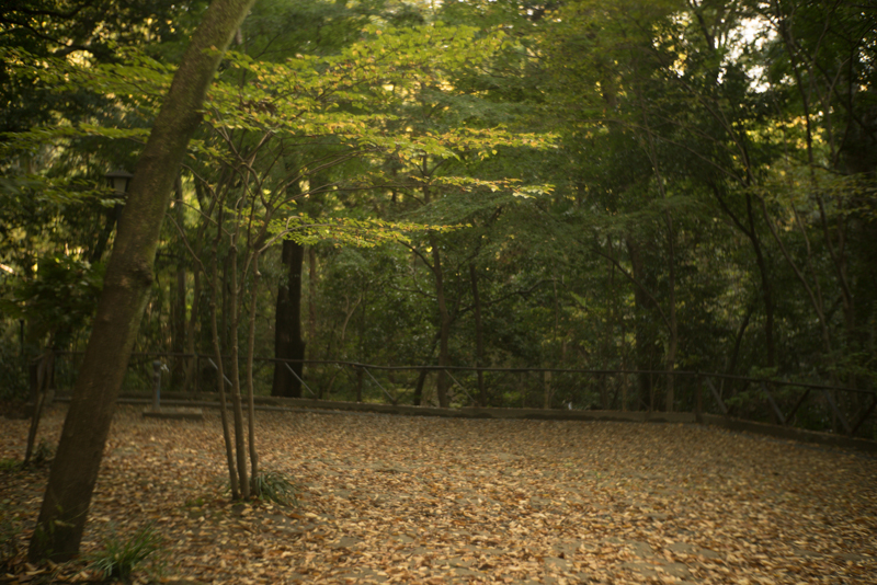 f:id:aremo-koremo:20151122173706j:plain