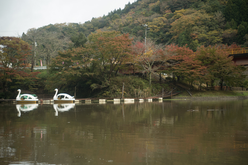 f:id:aremo-koremo:20151130161714j:plain f:id:aremo-koremo:20151130161714j:plain