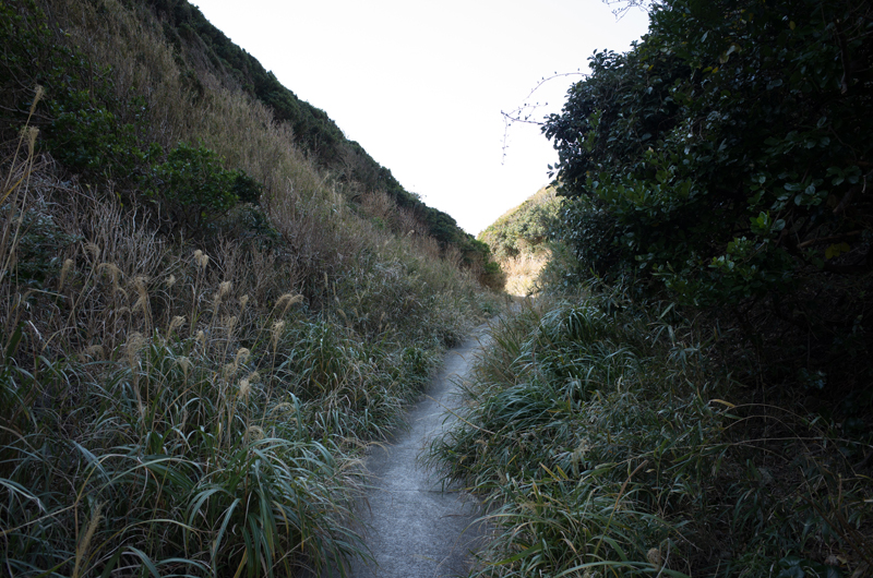 f:id:aremo-koremo:20160126163543j:plain