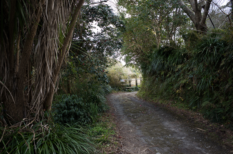 f:id:aremo-koremo:20160127152210j:plain