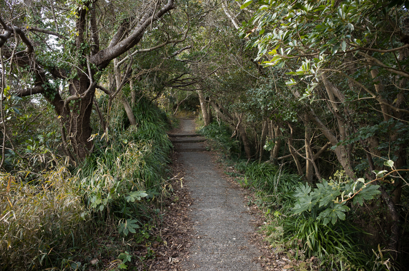 f:id:aremo-koremo:20160127152805j:plain